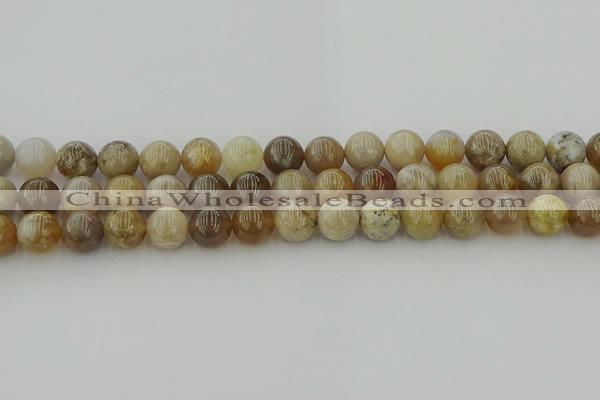 CAG9403 15.5 inches 10mm round ocean fossil agate beads wholesale