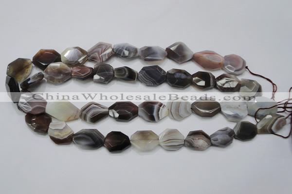 CAG990 15.5 inches 15*20mm faceted freeform botswana agate beads