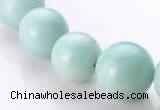 CAM24 17 inches different sizes round natural amazonite beads