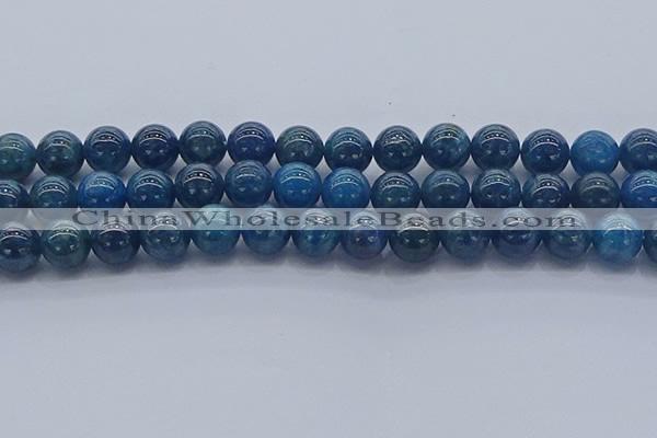 CAP363 15.5 inches 10mm round apatite gemstone beads wholesale