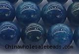 CAP365 15.5 inches 14mm round apatite gemstone beads wholesale