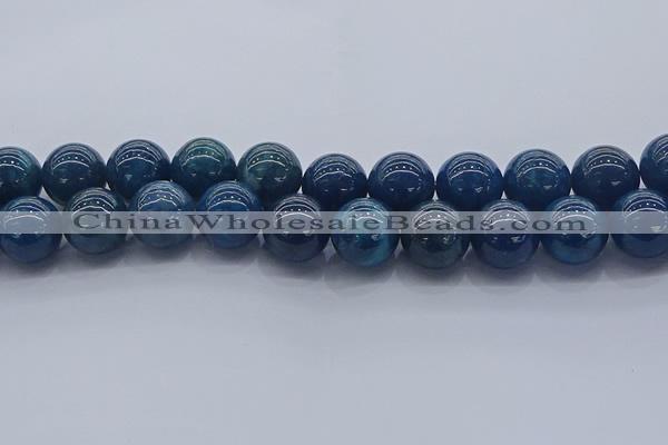 CAP367 15.5 inches 18mm round apatite gemstone beads wholesale