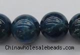 CAP404 15.5 inches 12mm round A grade natural apatite beads