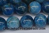 CAP414 15.5 inches 12mm round apatite gemstone beads wholesale