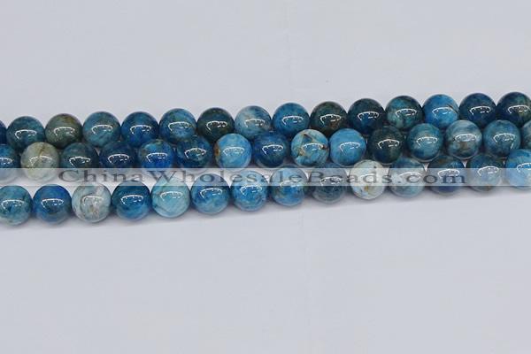 CAP414 15.5 inches 12mm round apatite gemstone beads wholesale