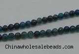 CAP51 15.5 inches 4mm round dyed apatite gemstone beads wholesale