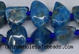 CAP532 15.5 inches 10*12mm - 16*22mm freeform apatite beads