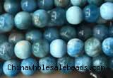 CAP576 15.5 inches 4mm round apatite beads wholesale