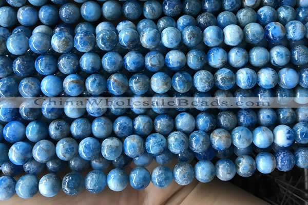 CAP584 15.5 inches 8mm round apatite gemstone beads