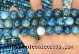 CAP602 15.5 inches 12mm round natural apatite beads wholesale