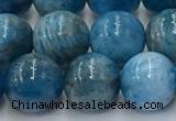 CAP632 15.5 inches 10mm round apatite beads wholesale