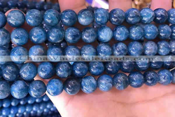 CAP640 15.5 inches 10mm round natural apatite gemstone beads