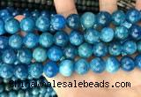 CAP654 15.5 inches 12mm round natural apatite beads wholesale