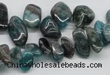 CAP73 15.5 inches 10*20mm nugget dyed apatite gemstone beads wholesale