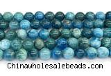 CAP757 15 inches 10mm round apatite gemstone beads wholesale