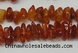 CAR115 16 inches 3*6mm - 4*8mm natural amber chips beads