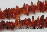 CAR117 16 inches 2*6mm - 3*10mm natural amber chips beads