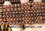 CAR236 15.5 inches 5mm - 5.5mm round natural amber beads wholesale