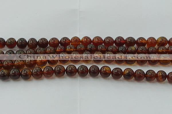 CAR528 15.5 inches 8mm - 9mm round natural amber beads wholesale