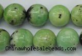 CAU215 15.5 inches 14mm round Australia chrysoprase beads