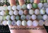 CAU464 15.5 inches 13mm - 14mm round Australia chrysoprase beads