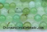 CAU569 15 inches 5mm round Australia chrysoprase beads
