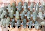 CBBS142 Centre drilled 6*20mm - 11*35mm hexahedral prism labradorite beads