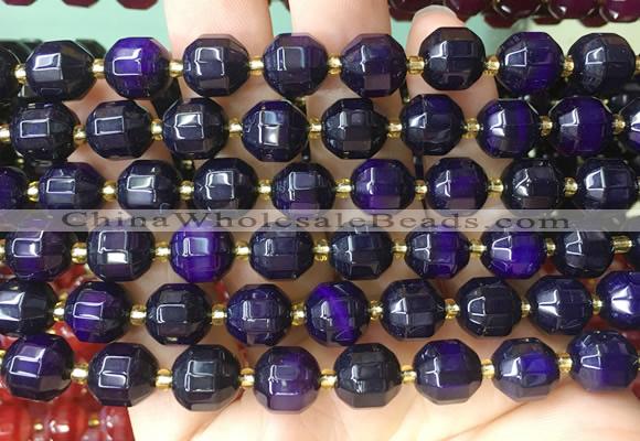 CCBS160 15 inches 10mm faceted prism agate beads wholesale