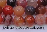 CBC404 15.5 inches 12mm A grade round orange chalcedony beads