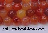 CBC413 15.5 inches 10mm AA grade round orange chalcedony beads