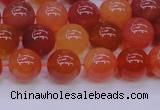 CBC414 15.5 inches 12mm AA grade round orange chalcedony beads