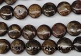 CBZ71 15.5 inches 10mm flat round bronzite gemstone beads