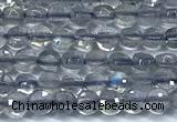 CCB1352 15 inches 2.5mm faceted coin labradorite beads