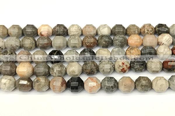 CCB1422 15 inches 9mm - 10mm faceted fossil coral beads