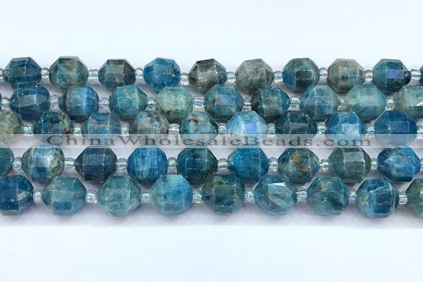 CCB1515 15 inches 9mm - 10mm faceted apatite beads