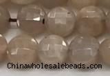 CCB705 15.5 inches 6mm faceted coin moonstone gemstone beads