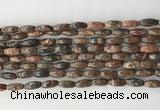CCB810 15.5 inches 5*12mm rice leopard skin jasper beads wholesale