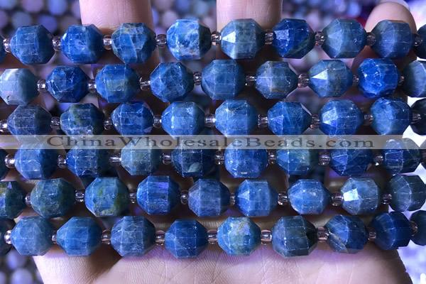 CCB841 15.5 inches 9*10mm faceted apatite beads wholesale