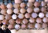 CCB856 15.5 inches 11*12mm faceted moonstone beads wholesale