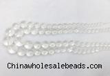 CCBS11 15 inches 6mm - 18mm faceted round white crystal beads wholesale