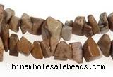 CCH27 35 inches picture jasper chips gemstone beads wholesale