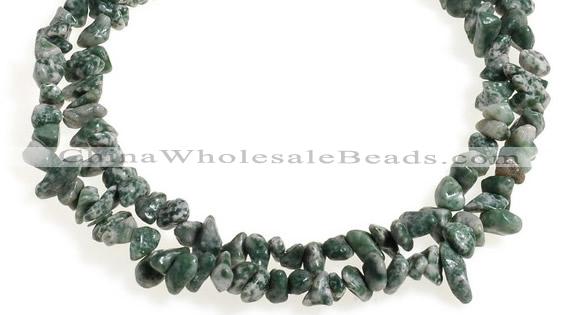 CCH29 35 inches dalmatian jasper chips gemstone beads wholesale