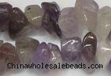 CCH291 34 inches 8*12mm amethyst chips gemstone beads wholesale