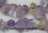 CCH314 15.5 inches 10*15mm ametrine chips gemstone beads wholesale