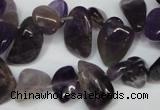 CCH316 15.5 inches 10*15mm amethyst chips gemstone beads wholesale