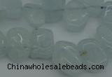 CCH606 15.5 inches 8*12mm - 10*15mm aquamarine chips gemstone beads