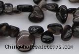 CCH623 15.5 inches 6*8mm - 10*14mm smoky quartz chips beads