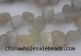 CCH625 15.5 inches 6*8mm - 10*14mm grey moonstone chips beads