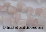 CCH626 15.5 inches 6*8mm - 10*14mm morganite gemstone chips beads