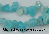 CCH631 15.5 inches 6*8mm - 10*14mm Peru amazonite chips beads